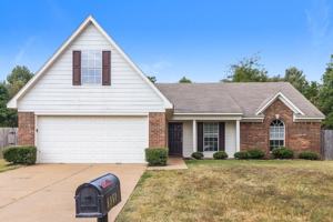 featured image of 8161 Loden Cv