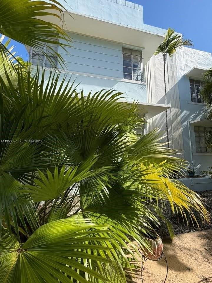 825 Jefferson Ave #4 - Photo 5 of 19