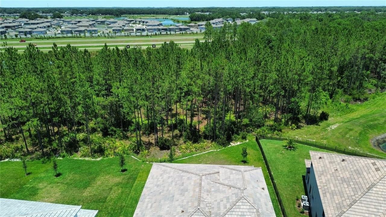 35335 Big Hawk Dr - Photo 2 of 32