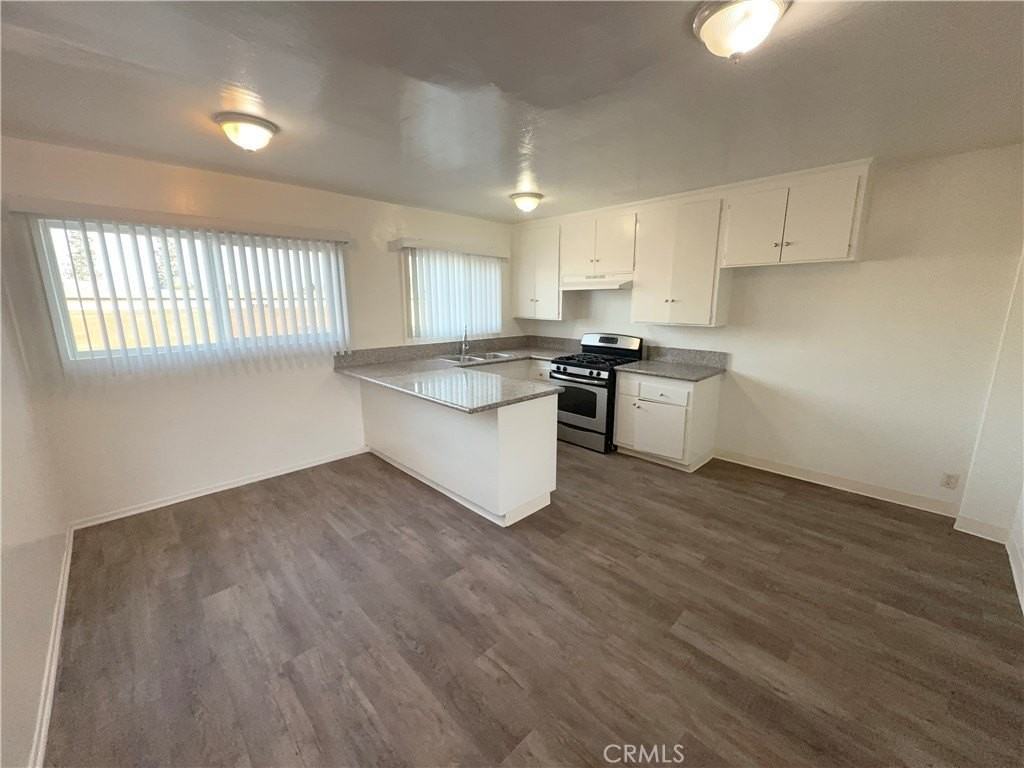 1036 W 95th St #5 - Photo 4 of 13