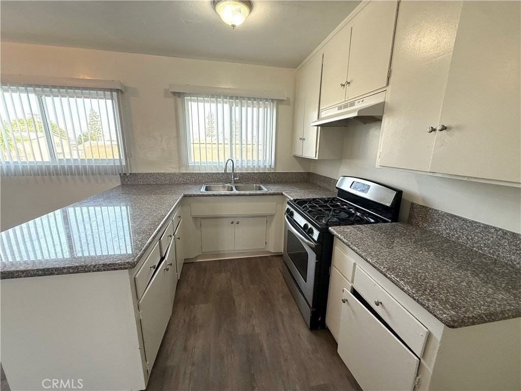 1036 W 95th St #5 - Photo 5 of 13