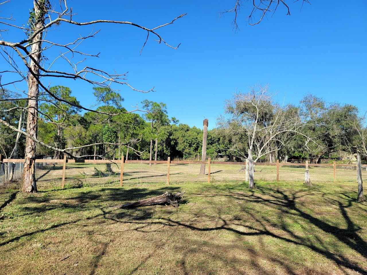 4362 W Midway Rd - Photo 6 of 31