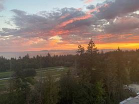 3533 Ross Drive #1402 - Photo 1 of 1