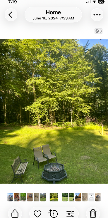 517 Benson Rd - Photo 7 of 7