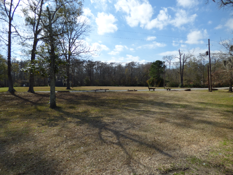 544 Allie Payne Rd - Photo 3 of 20