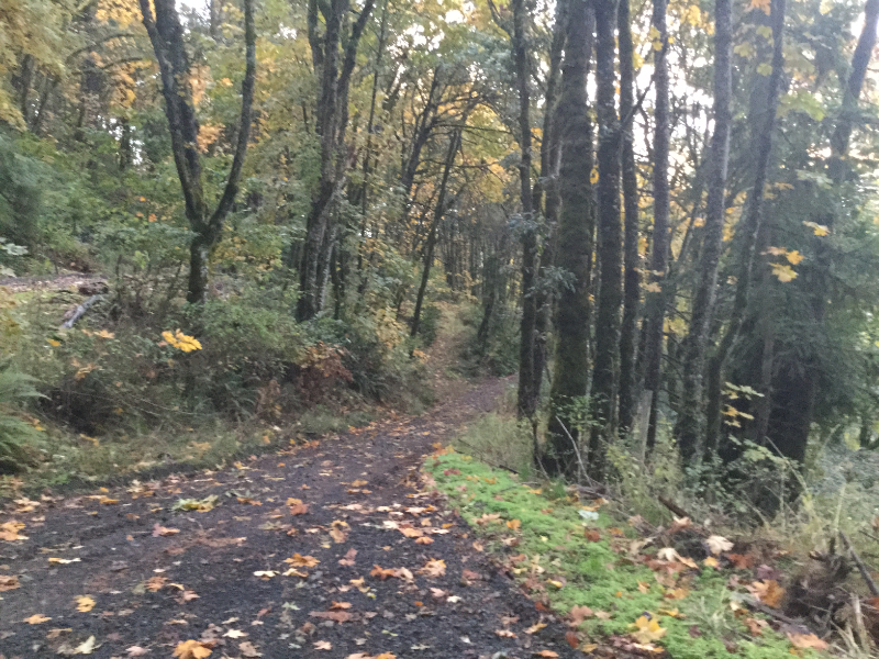 33125 Cleo Ave #GATE - Photo 3 of 8