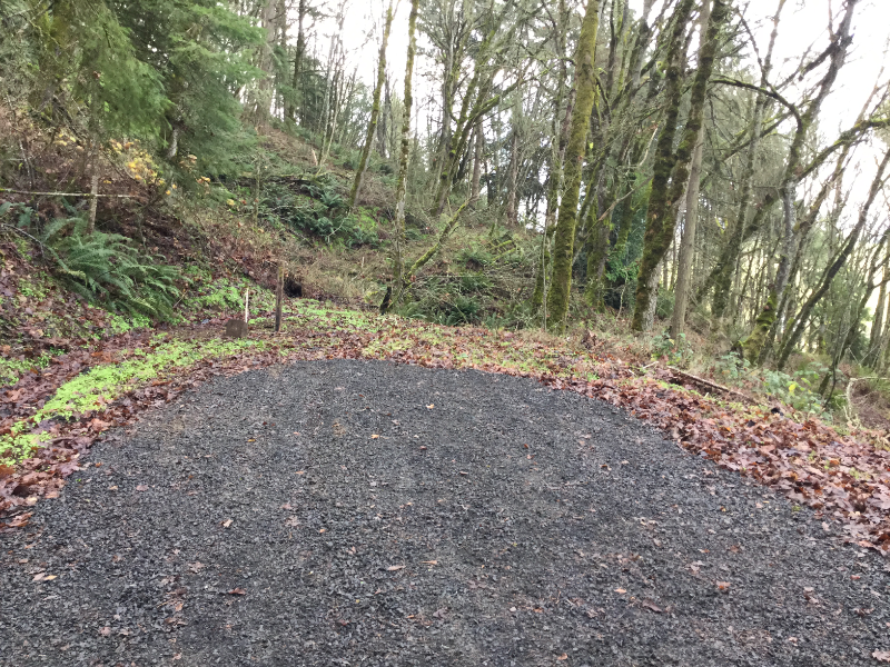 33125 Cleo Ave #GATE - Photo 5 of 8