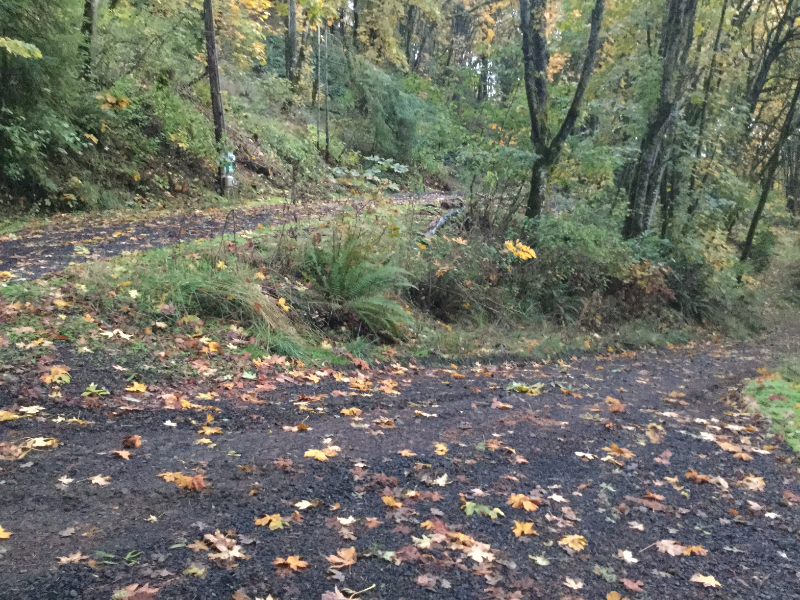 33125 Cleo Ave #GATE - Photo 6 of 8