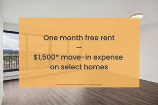 International Plaza - Photo 1 of 1