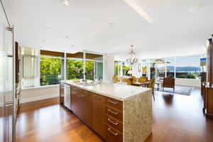 featured image of 5989 Iona Drive #501