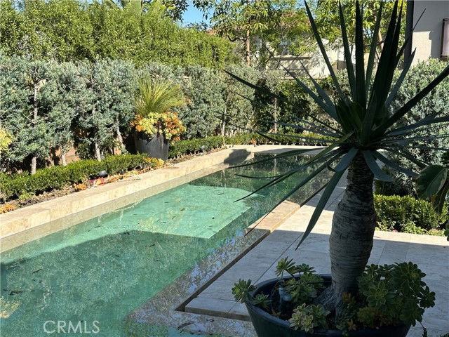 45 Skyward - Photo 2 of 8