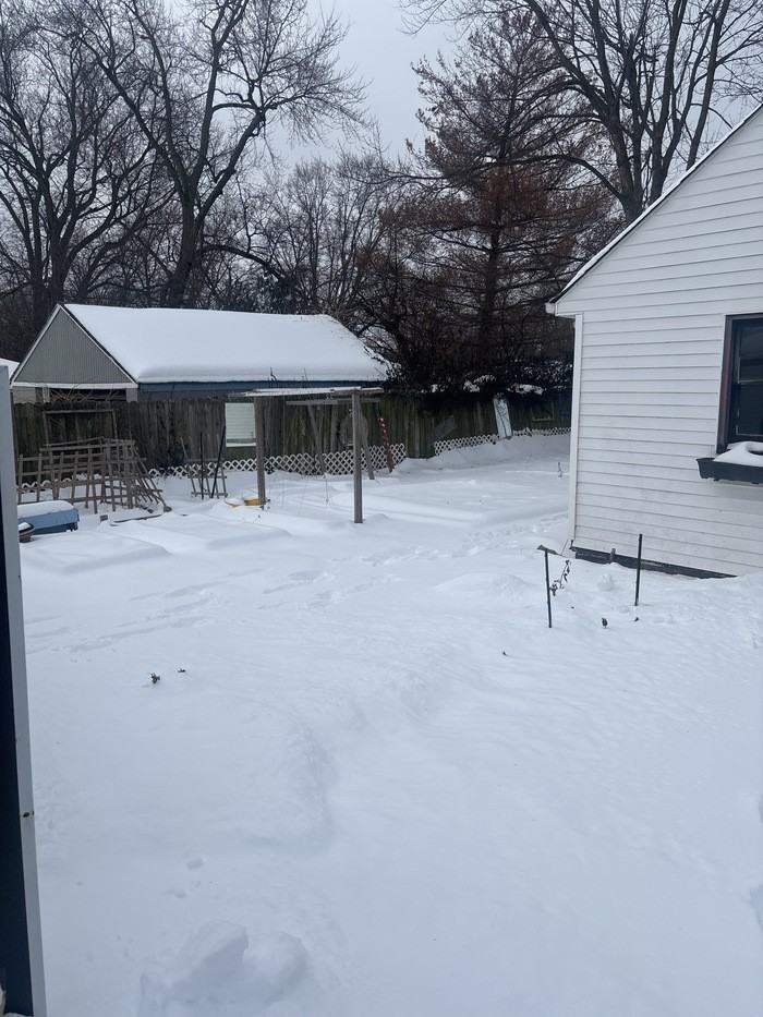 8249 Georgianna Dr - Photo 6 of 7