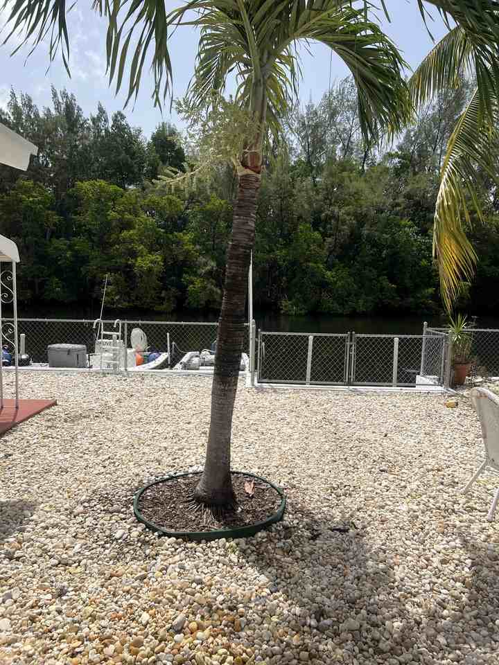 13155 Emerald Dr #3 - Photo 6 of 21