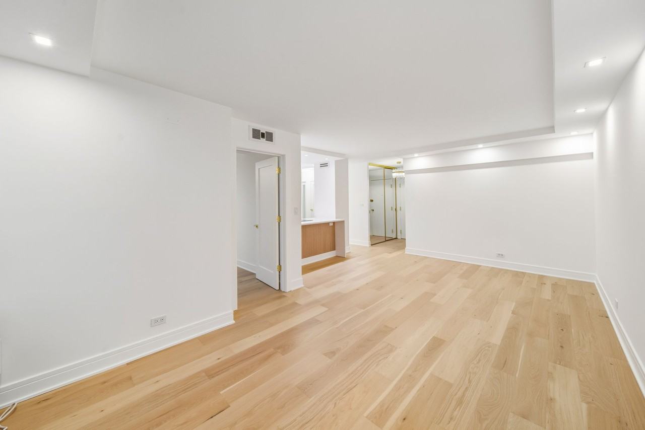 88 W Schiller St #906 - Photo 5 of 21