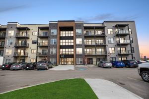 featured image of 100 Lyra Gate