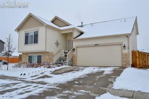 featured image of 6872 Red Cardinal Loop