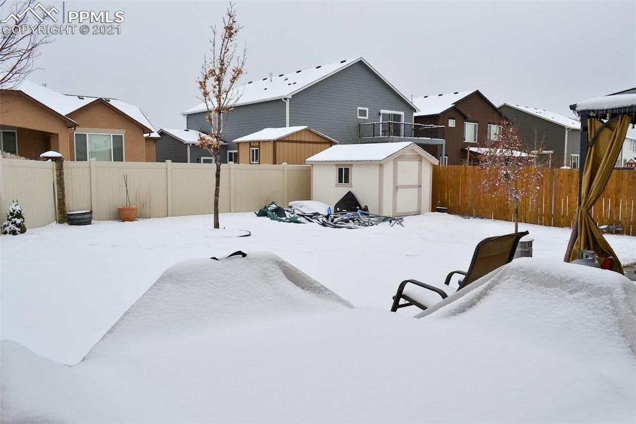 6872 Red Cardinal Loop - Photo 4 of 29