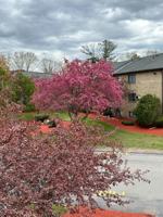 featured image of 1 Lancelot Ct #1-18