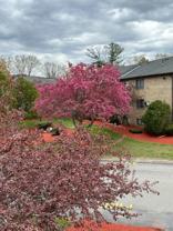 1 Lancelot Ct #1-18 - Photo 1 of 1