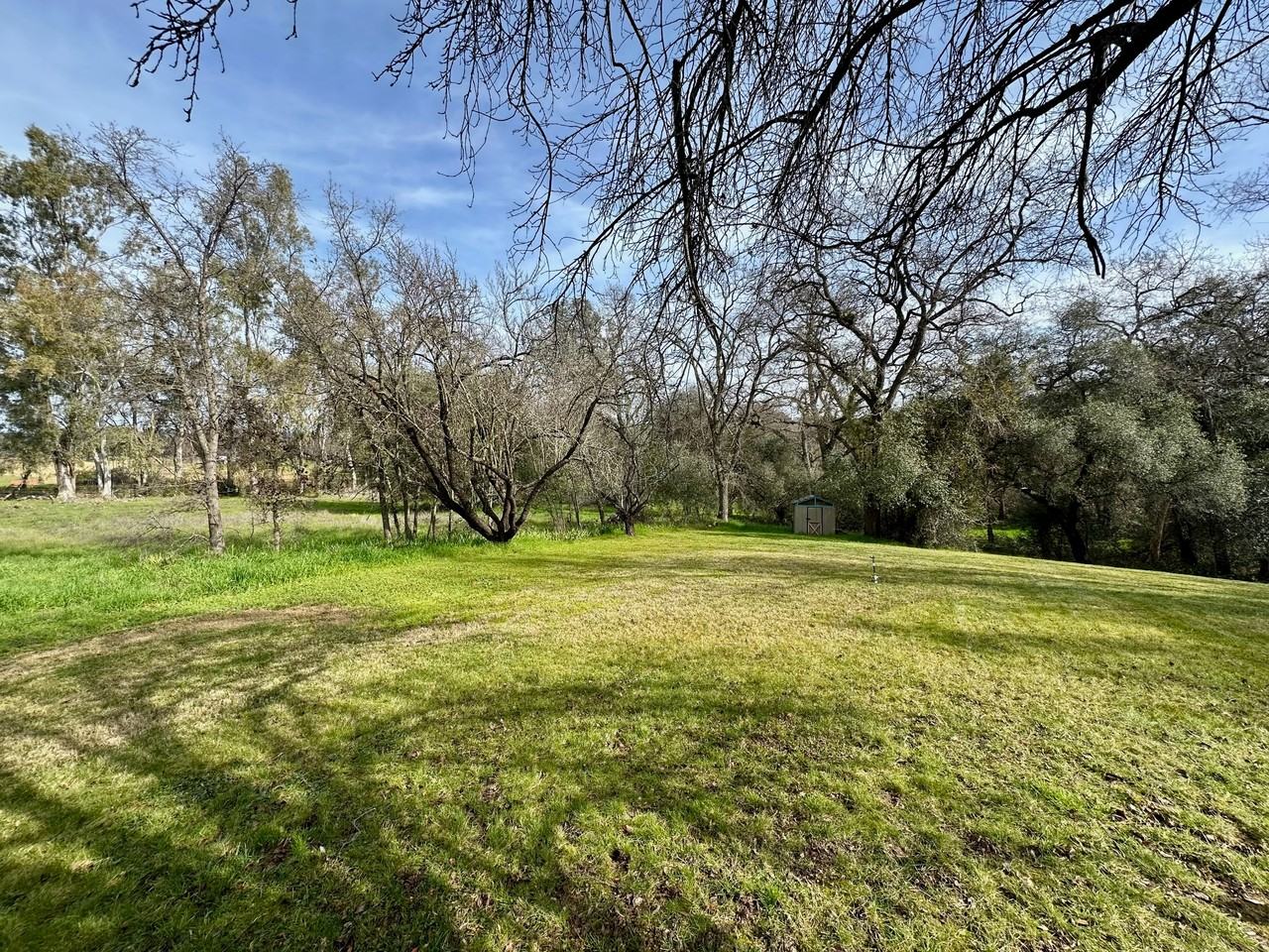 6181 Wise Rd #1 - Photo 2 of 17