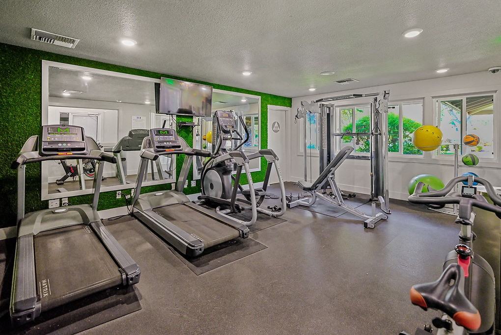 Briarwood at Central Park - Photo 4 of 28