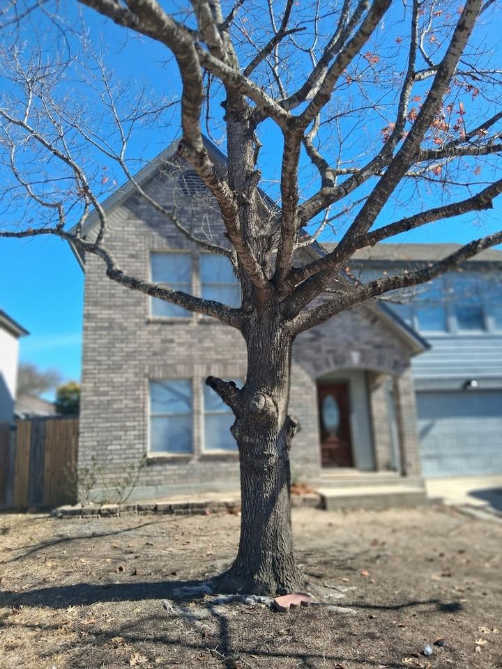 874 Fillmore Drive - Photo 2 of 42