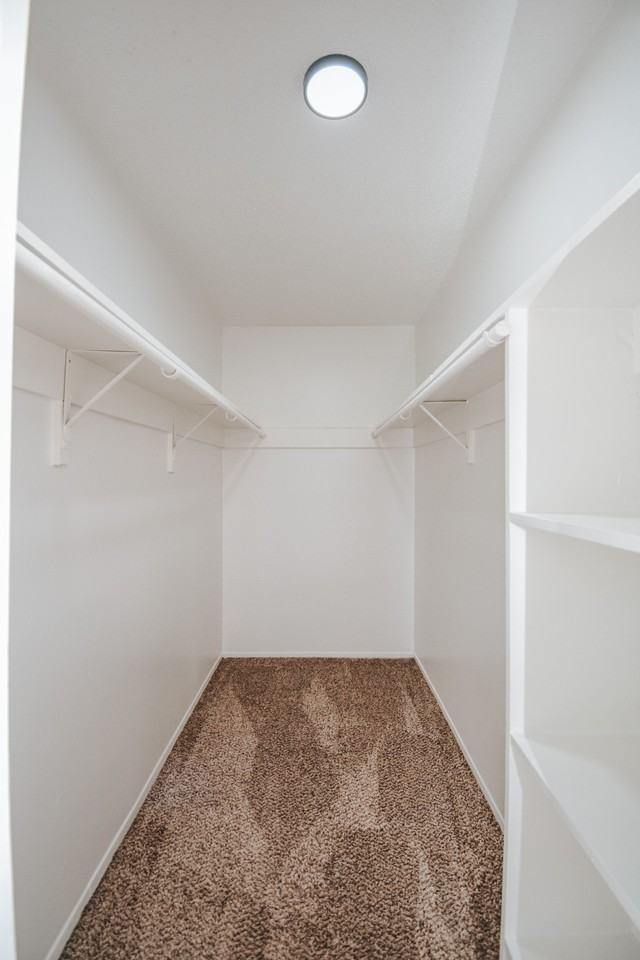 3001 Arroyo DrApt 904 #904 - Photo 5 of 8