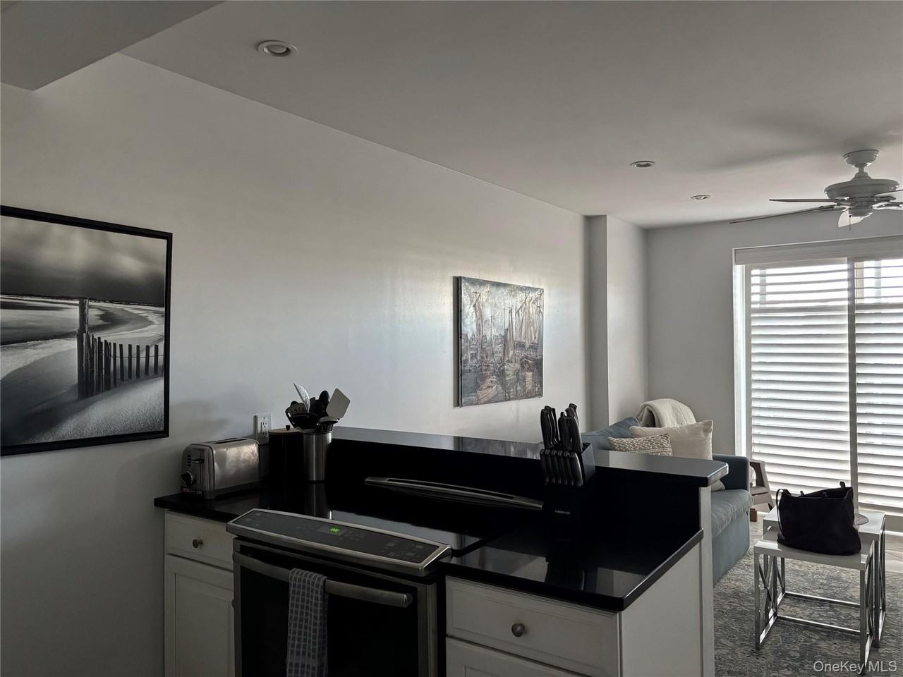 2 Richmond Rd Apt 1 #1K - Photo 7 of 18