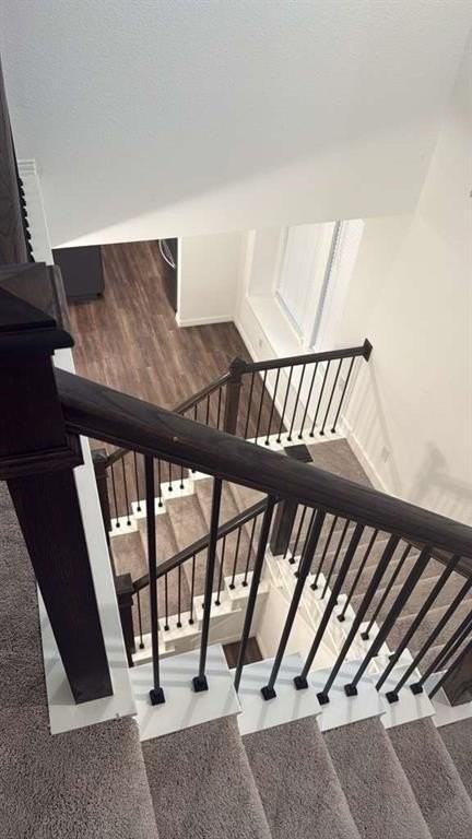 9805 Michael Irvin St - Photo 5 of 22