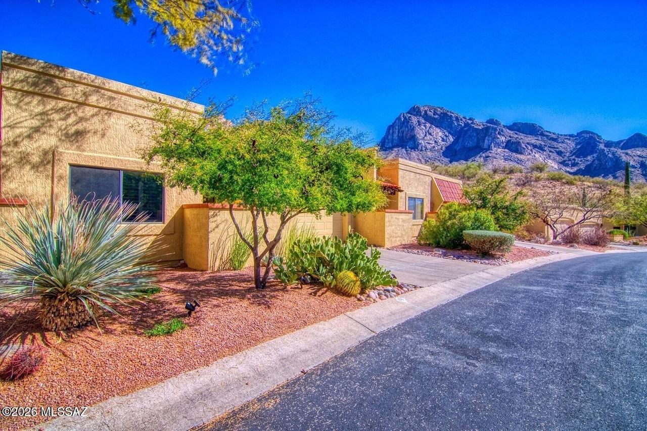 1223 E Camino Diestro - Photo 4 of 40