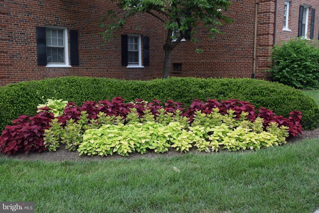 2057 38th St Se Apt 301 #301 - Photo 4 of 45