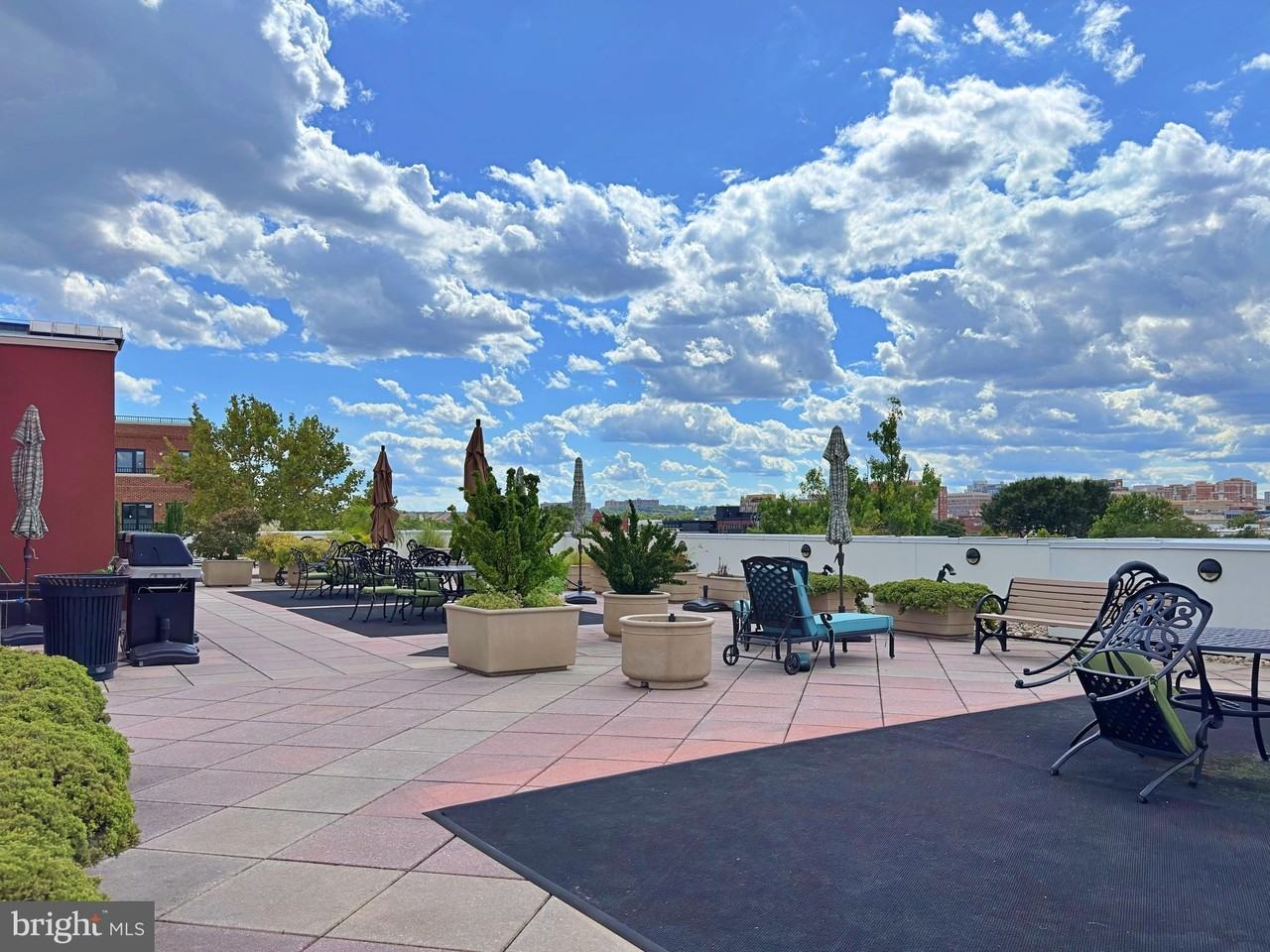 1115 Cameron St Unit 114 #114 - Photo 5 of 50