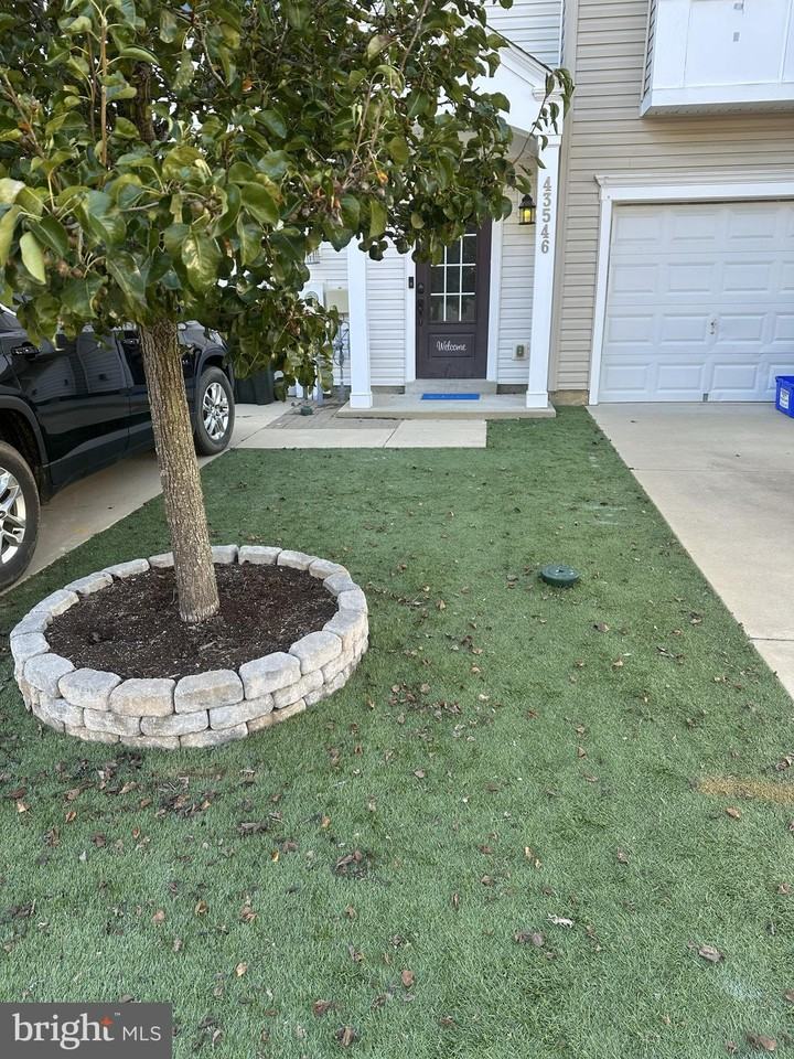 43546 Wild Iris St - Photo 3 of 25