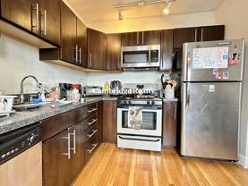 839 Parker St #2T - Photo 1 of 1