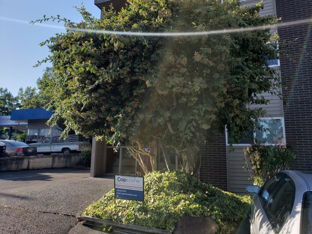 3506 Ne 95th St #205 - Photo 2 of 26