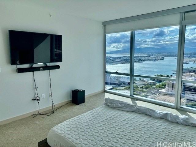 555 South St Apt 3510 #3510 - Photo 7 of 24