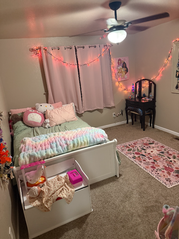 804 Blue Sage Way - Photo 3 of 10