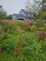 featured image of 6 Sunset Ter #NA