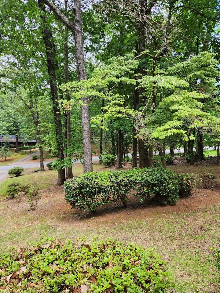 Watonga Way - Studio - 1 #1 - Photo 3 of 23