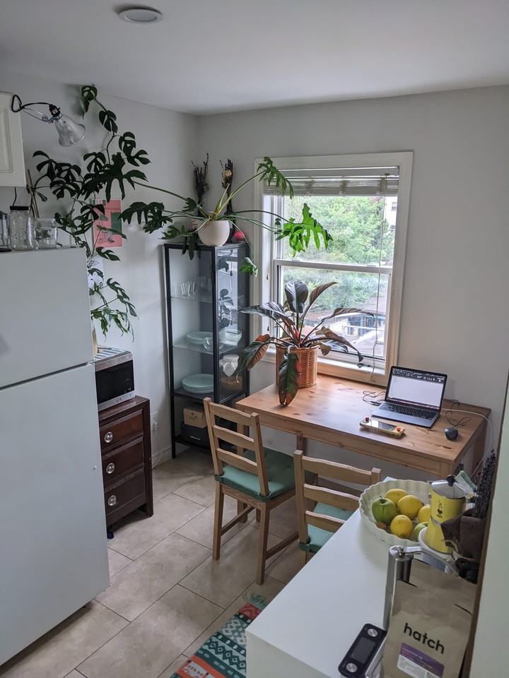 Beverley St & D'Arcy St - Photo 3 of 4