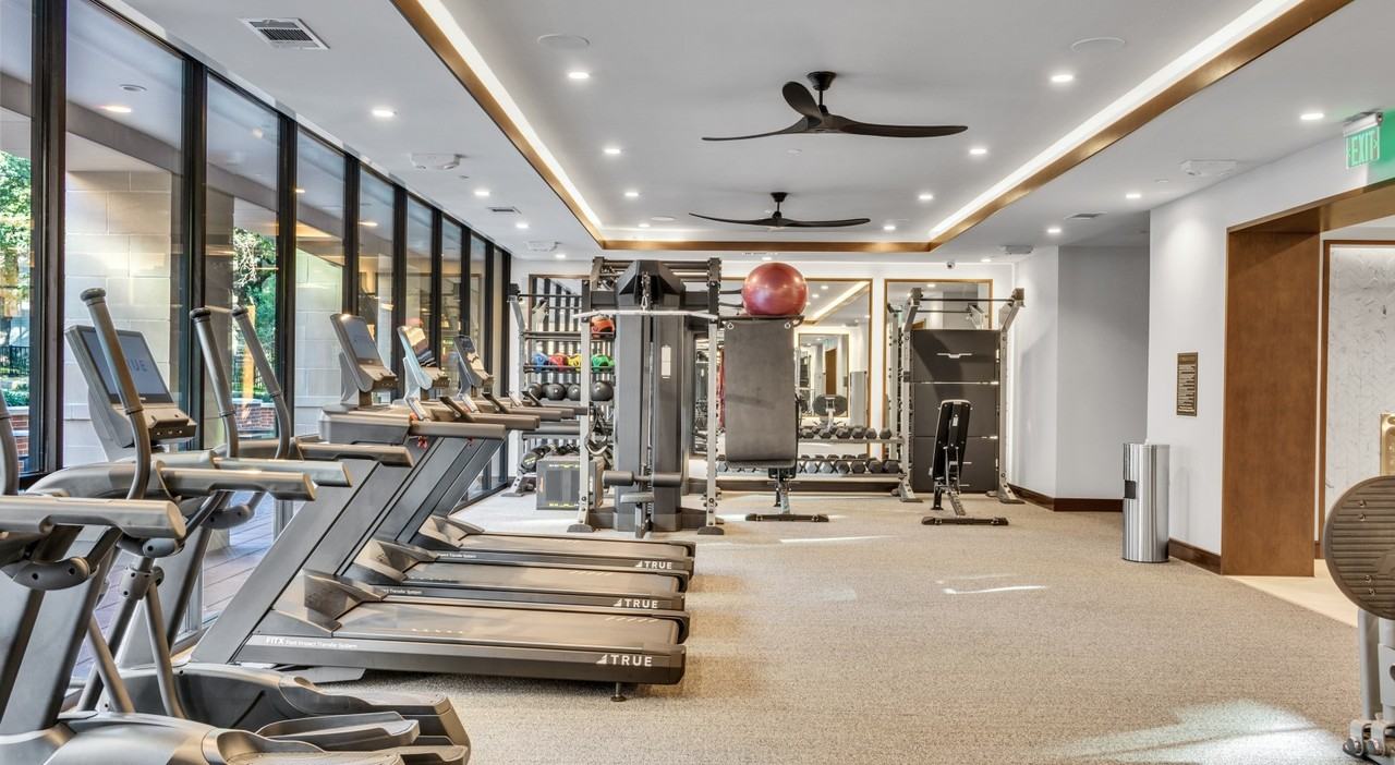 Carlisle Street - Photo 6 of 8