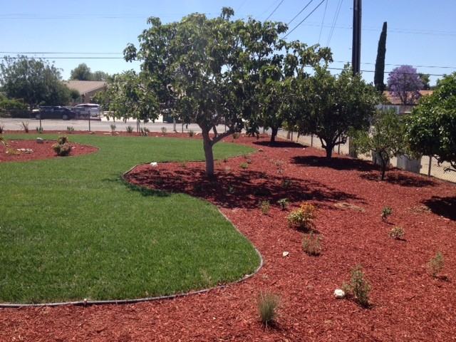 Sage St & Washington St - Photo 5 of 16