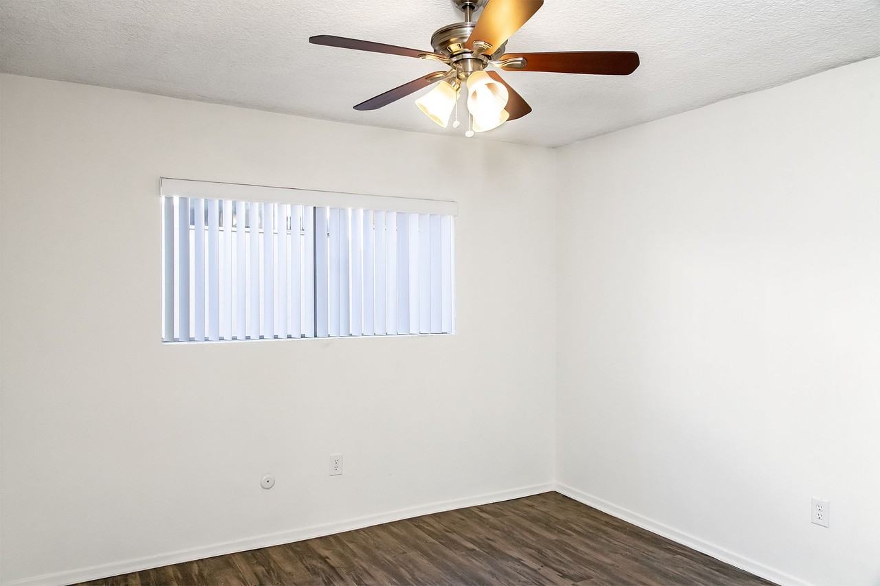 lex122 - Photo 5 of 9