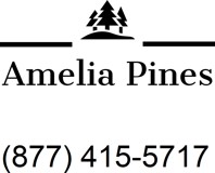 Amelia Pines - Photo 1 of 1