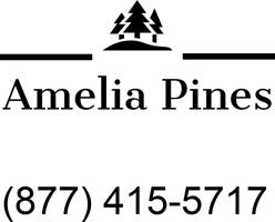 featured image of 78030 Susi Ln