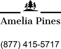 Amelia Pines - Photo 1 of 1