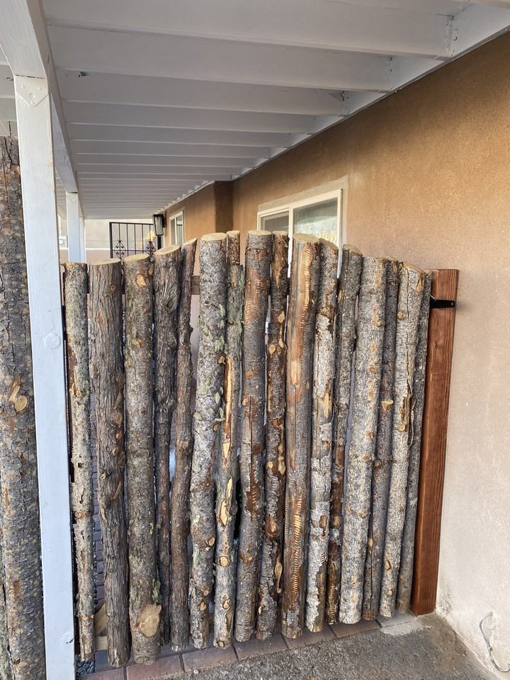 218 Maynard Street #D - Photo 2 of 24