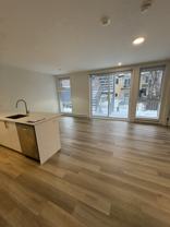 3985 Rue St-Dominique - Photo 1 of 1