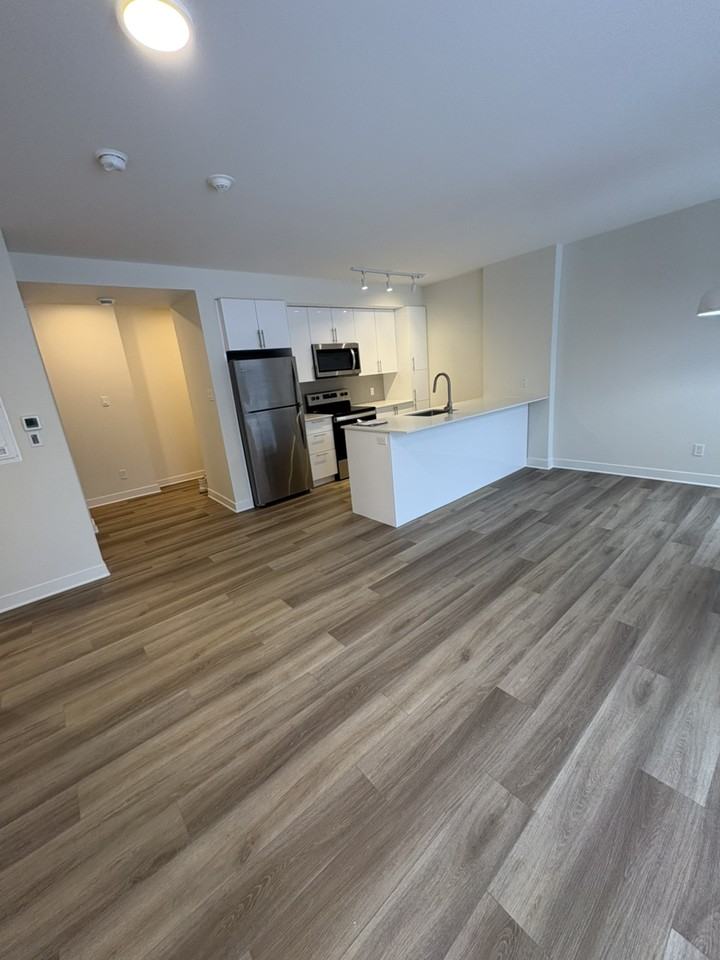 3985 Rue St-Dominique - Photo 2 of 16