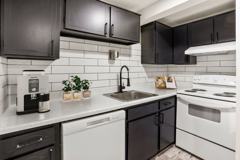 The Iris - Photo 1 of 1